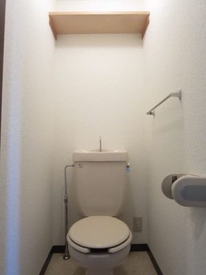 Toilet. Toilet with storage space
