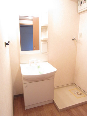 Washroom. Shampoo dresser with