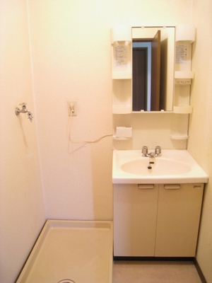 Washroom. Popular independent wash basin in women