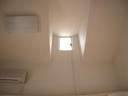 Other. Skylight