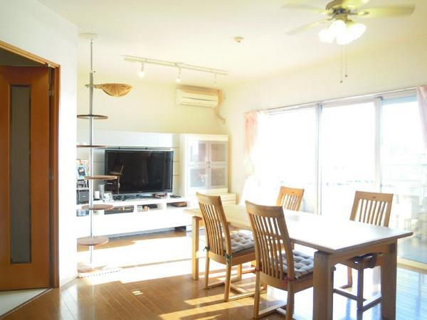 Living. Indoor (April 2013) Shooting  ※ Furniture, etc. are not included in the sale