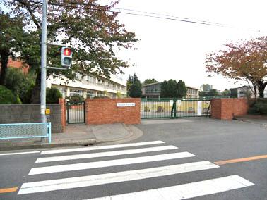 Primary school. 600m to the village primary school