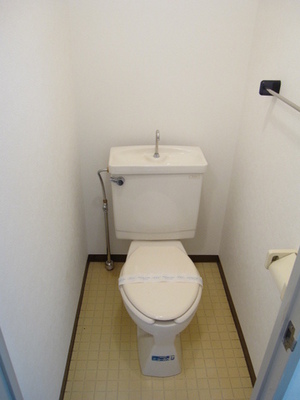 Toilet. Bathroom
