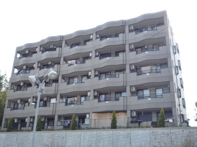 Building appearance