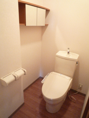 Toilet. ☆ Bidet with toilet ☆
