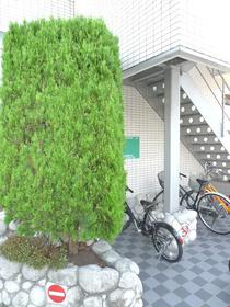 Building appearance
