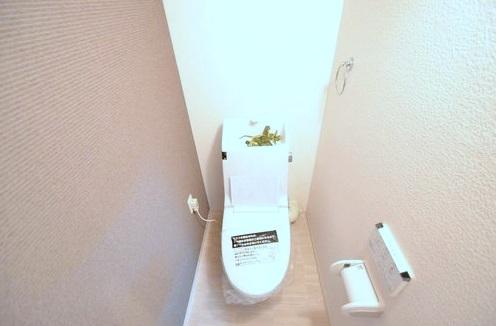 Toilet. ~ New Renovation  Example of construction ~