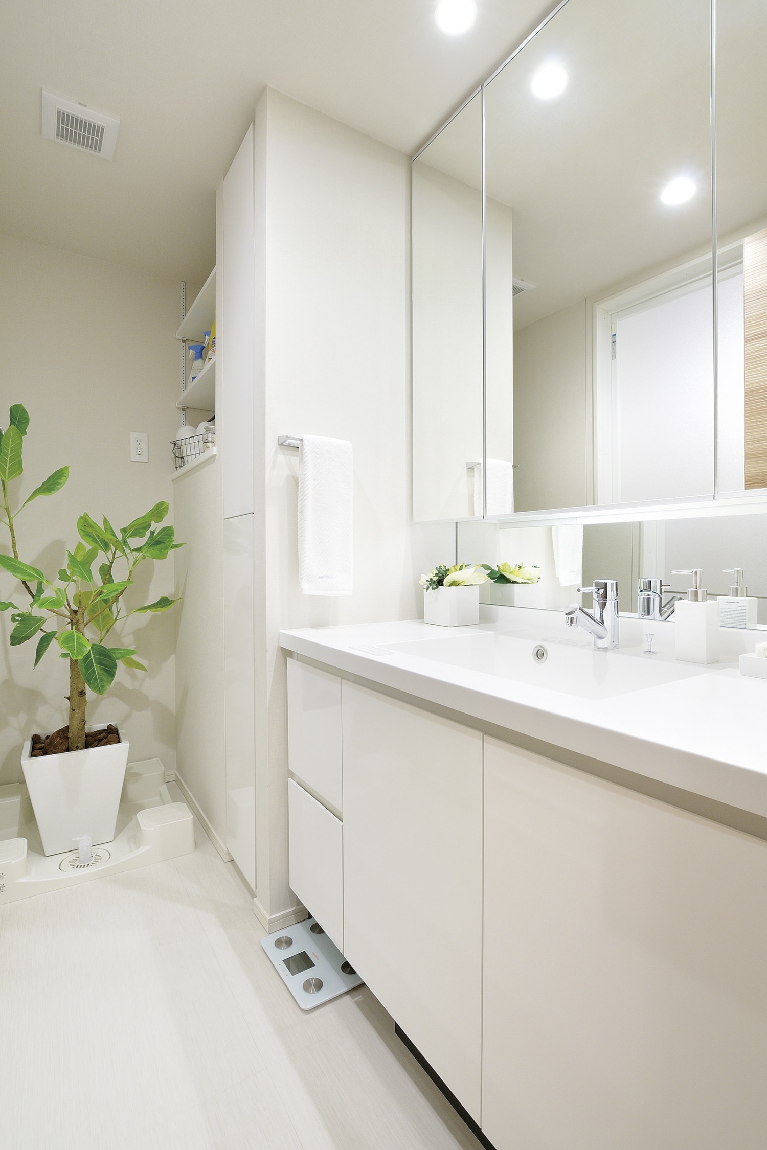 Cleanliness drifts wash room. Kagamiura storage, Linen cabinet, Shelf and abundant storage