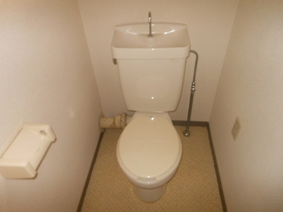 Toilet. Toilet