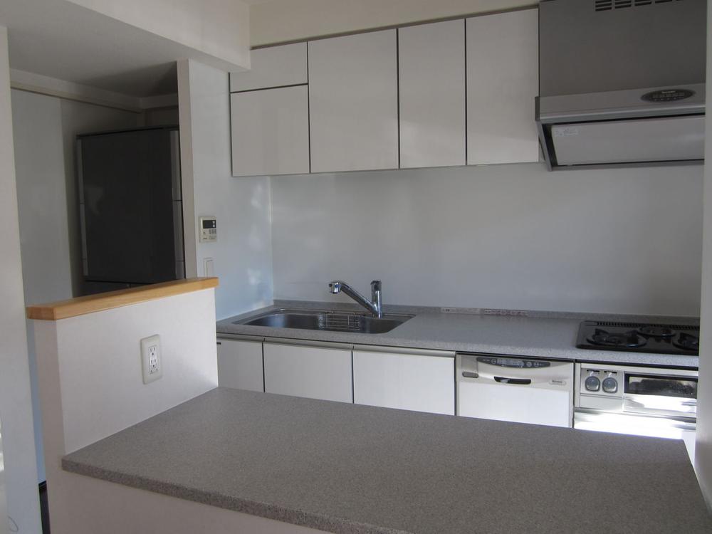 Kitchen. Indoor (12 May 2013) Shooting