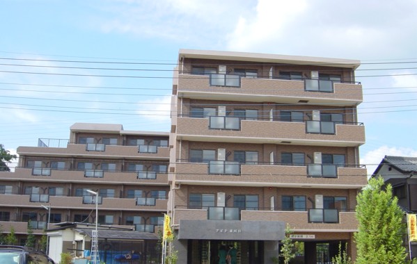 Building appearance