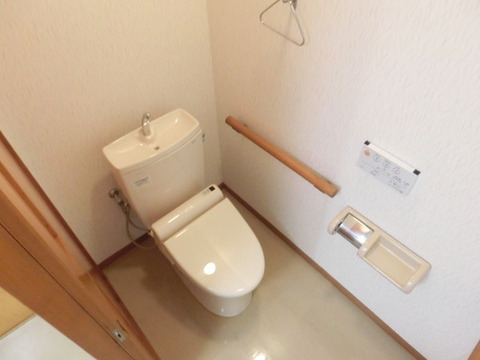 Toilet. Toilet