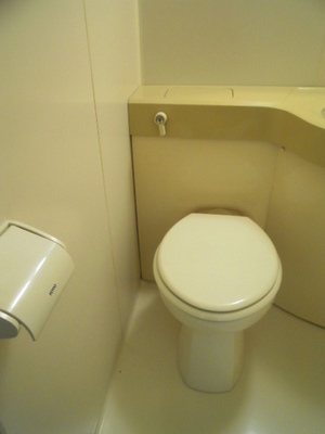 Toilet. Toilet