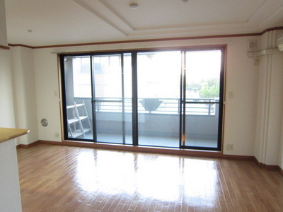 Living and room. Sunny Western-style