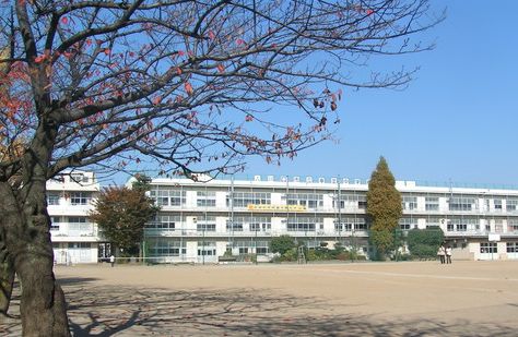 Junior high school. 941m until Kawaguchi Municipal Saiwainami junior high school (junior high school)