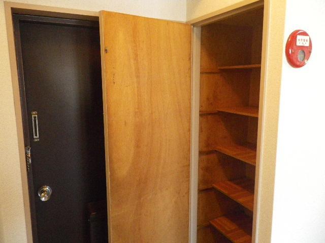 Entrance. There is a shoe box.