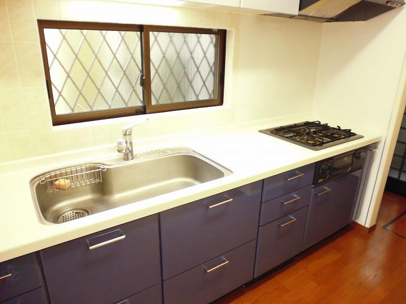 Kitchen. Indoor (10 May 2013) Shooting