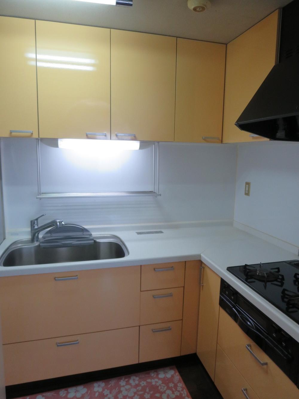 Kitchen. Indoor (12 May 2013) Shooting