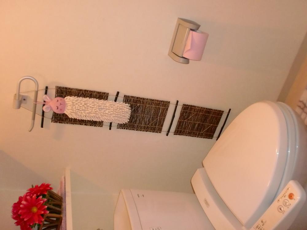 Toilet. Indoor (March 2013) Shooting