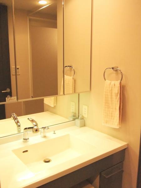 Wash basin, toilet. Wash 2013 / 11 shooting