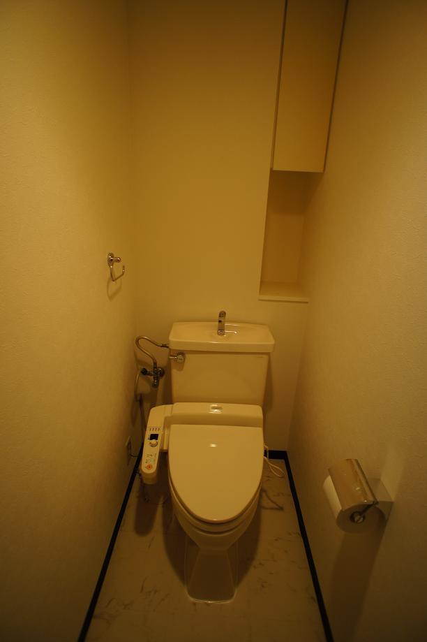 Toilet. Room (May 2013) Shooting