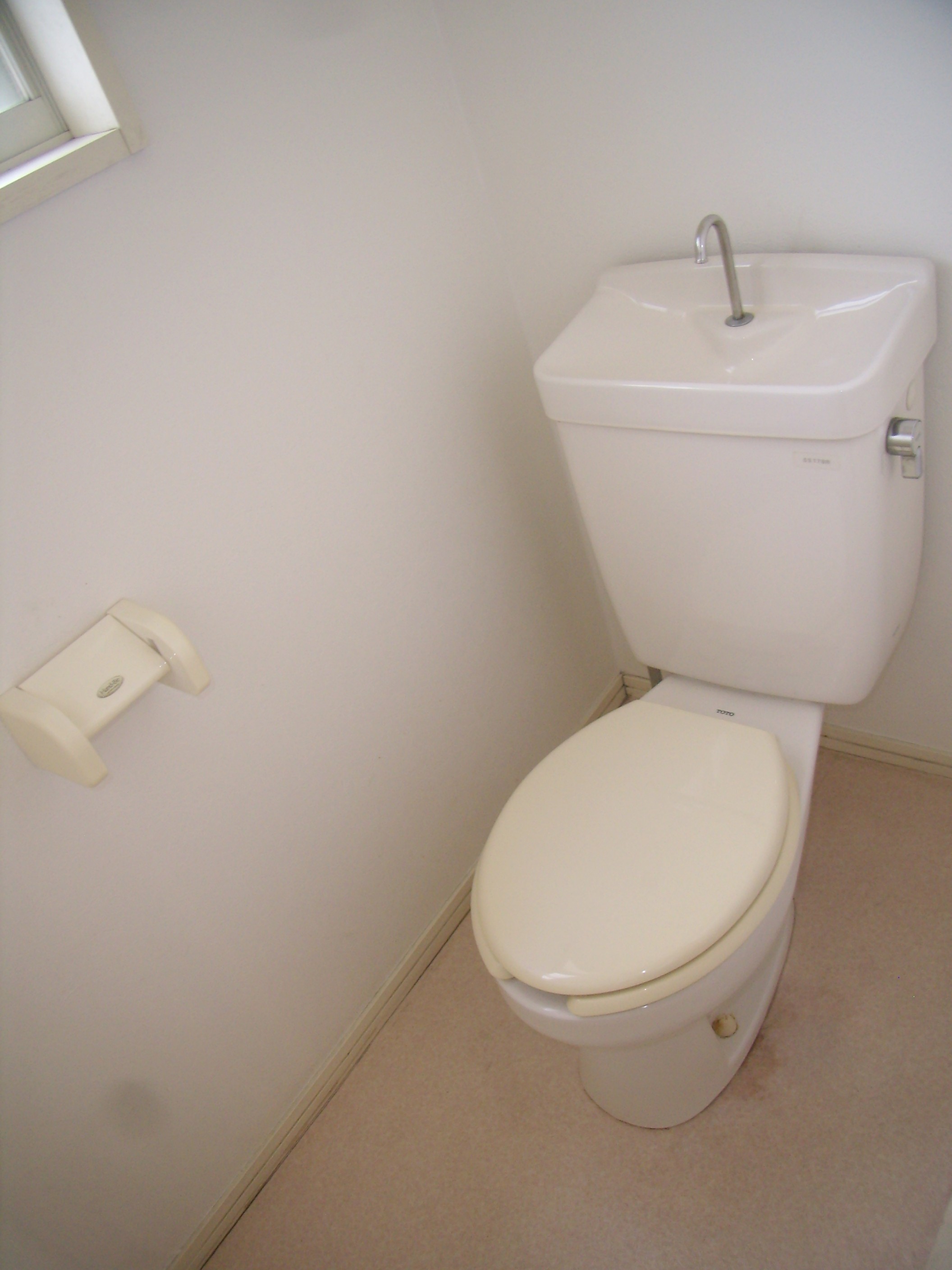Toilet