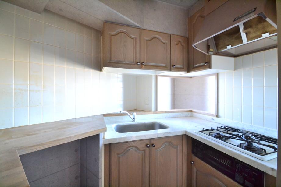 Kitchen. Face-to-face kitchen