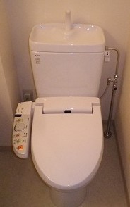 Toilet. Toilet