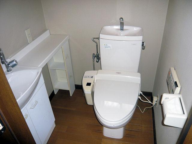 Toilet. Spacious toilet is also a dream