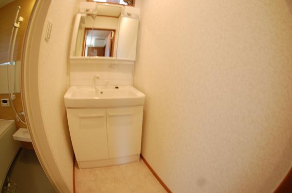 Wash basin, toilet. Wash basin with a shower of big success in the morning of the dressing