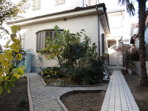 Garden. Garden