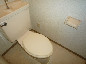 Toilet. Toilet