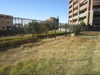 Kawaguchi City Prefecture Suehiro 1