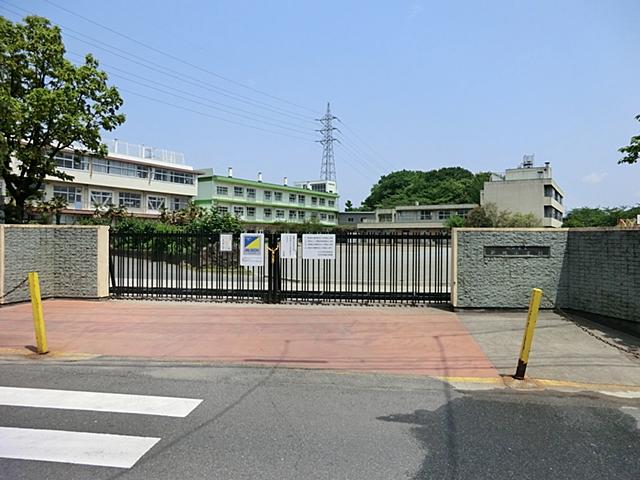 Other. Xinxiang Elementary School