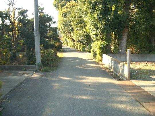 Local photos, including front road. Frontal road