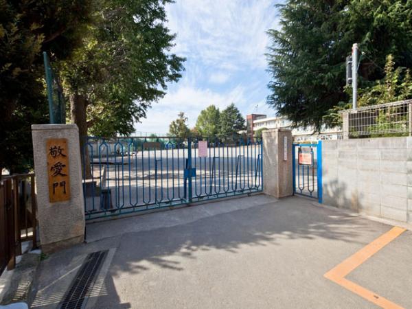 Primary school. Hatogaya until elementary school 640m