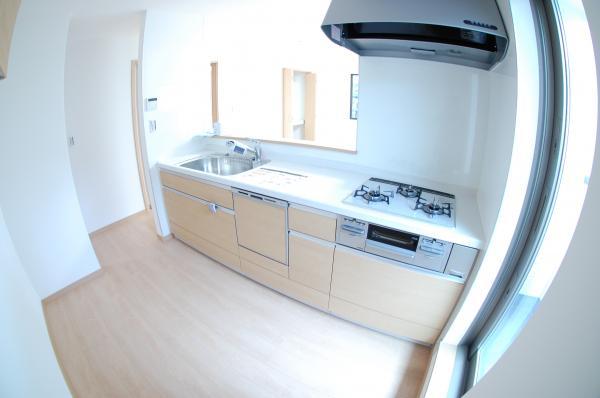 Kitchen. Dishwasher built-in system kitchen