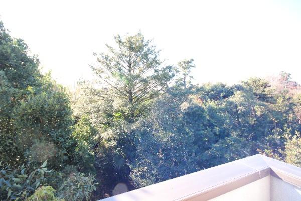Local appearance photo. Is the view from the second floor balcony. Green is very pleasant spread on one side is on the south side.