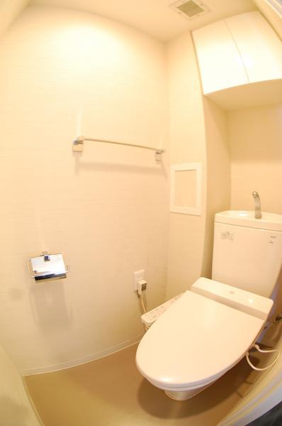 Toilet. Toilet with shower