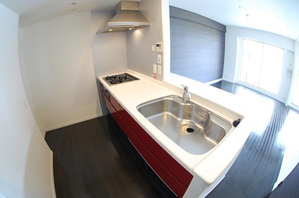 Kitchen. Water purifier built-in system kitchen