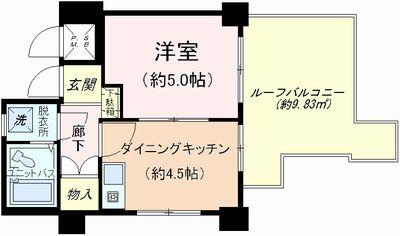 Floor plan. 1DK, Price 4.8 million yen, Occupied area 24.12 sq m