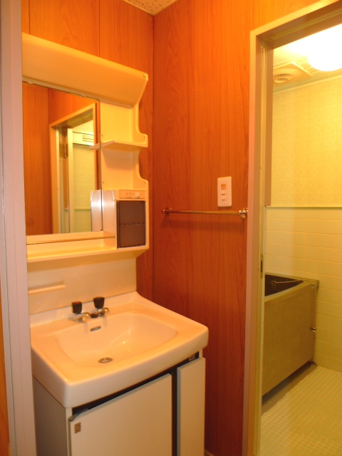 Bath. Image (another in Room photo)