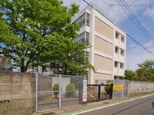 Primary school. Kawaguchi Municipal Shibahinotsume 400m up to elementary school