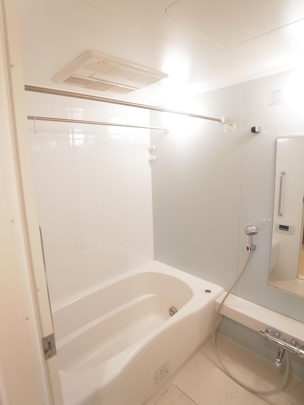 Bathroom. Indoor (January 2014) Shooting