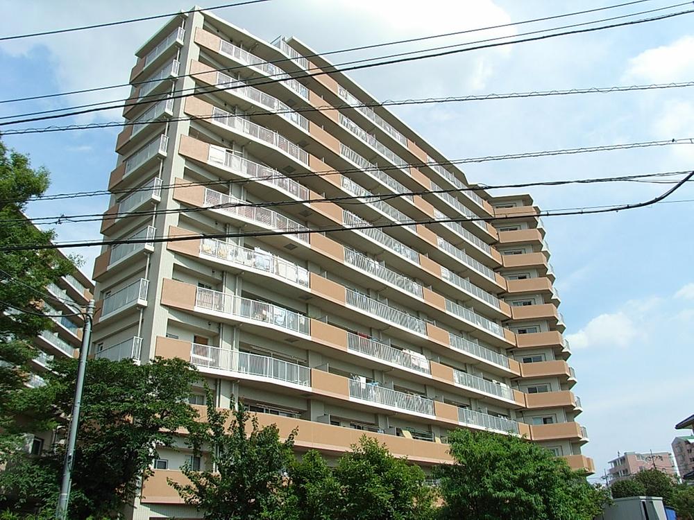 Local appearance photo. Local (11 May 2013) Shooting