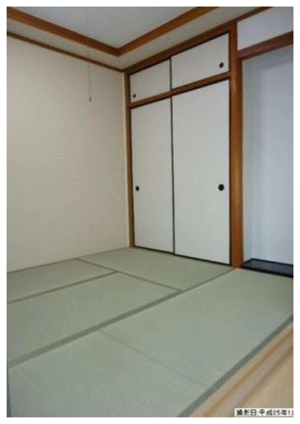 Non-living room. Japanese-style tatami Sliding door Shoji Insect