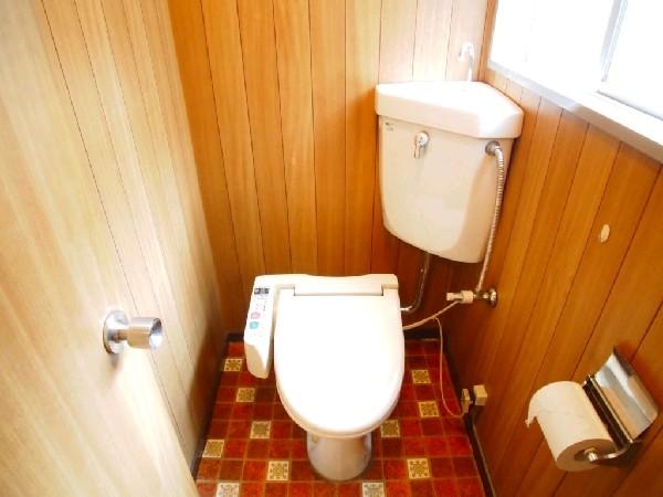 Toilet. I design of woodgrain is fashionable