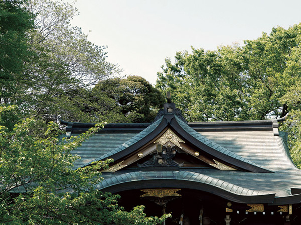 Surrounding environment. Hikawa Shrine (about 1680m, 21 minutes walk)