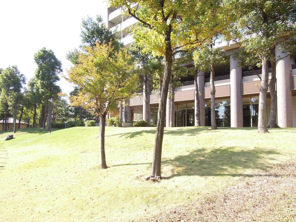 Other common areas. Common areas (public open space)