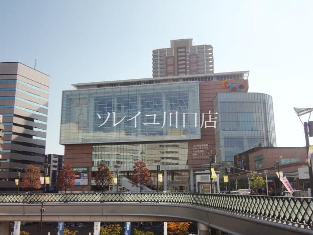 Other